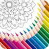 Color Mandala Book (ColorColor)