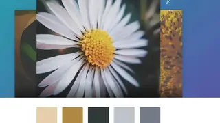 Color Palette Generator screenshot