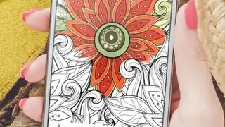 Colorfit screenshot