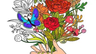 Colorfy screenshot