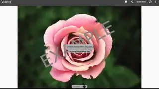 Colorize Images screenshot