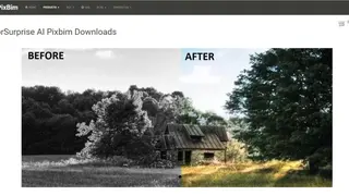 ColorSurprise AI Pixbim screenshot