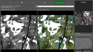 ColorSurprise AI Pixbim screenshot