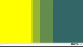 COLOURlovers screenshot