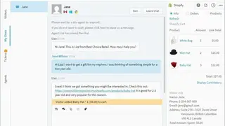 Comm100 Live Chat screenshot
