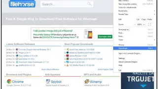 Comodo Dragon Browser screenshot