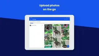 Constant Contact screenshot