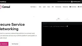 Consul screenshot