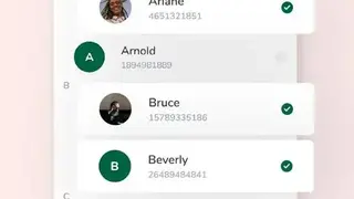 Contacts to Excel & Mail Export screenshot