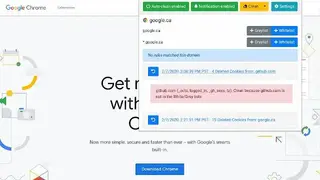 Cookie AutoDelete screenshot