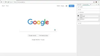 Cookie-Editor screenshot