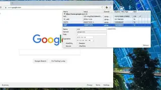 CookieManager screenshot