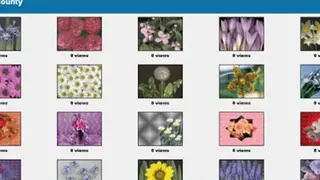 Coppermine Gallery screenshot