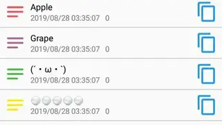 Copy History Support screenshot