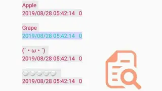 Copy History Support screenshot
