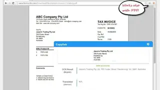 CopyFish screenshot