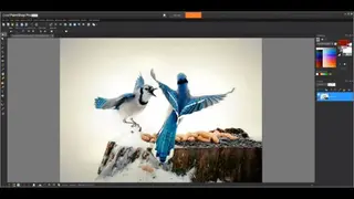 Corel PaintShop Pro screenshot