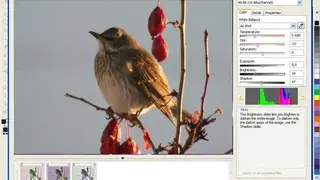 Corel Photo-Paint screenshot