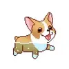 Corgi Orgy