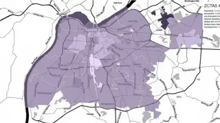 Corgilytics screenshot