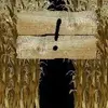 Corn Maze