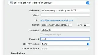 Couchdrop screenshot