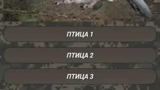Coyote Hunting Calls screenshot