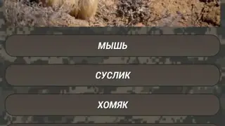 Coyote Hunting Calls screenshot