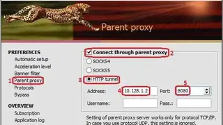 CProxy screenshot