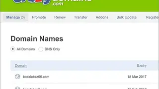 Crazy Domains screenshot