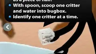 Creek Critters screenshot