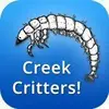 Creek Critters