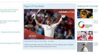 Cricket World screenshot