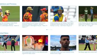 Cricket World screenshot