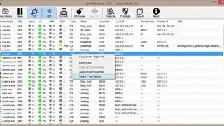 CrowdInspect screenshot