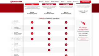 CrowdStrike Falcon screenshot
