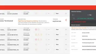 CrowdStrike Falcon screenshot