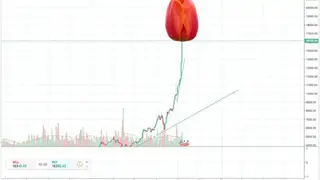 CryptoTulips screenshot