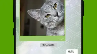 Crypviser screenshot
