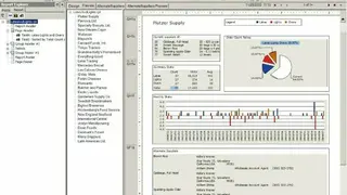 Crystal Reports screenshot