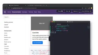 CSS Scan screenshot