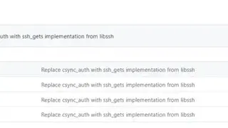 Csync screenshot