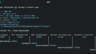 cURL screenshot