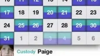 Custody Connection screenshot
