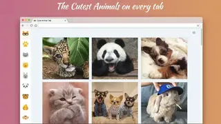 Cute Animal Tab screenshot