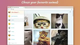 Cute Animal Tab screenshot