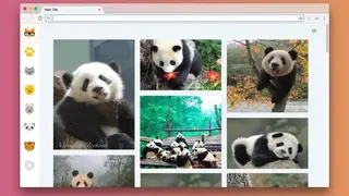 Cute Animal Tab screenshot
