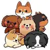 Cute Dog’s Life