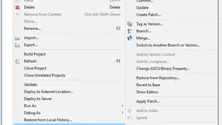 CVS (Concurrent Versions System) screenshot