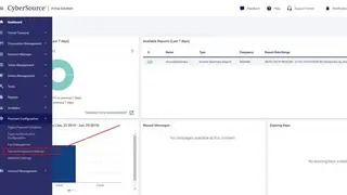 Cybersource screenshot